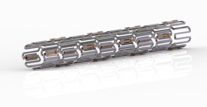 胆道肿瘤治疗支架