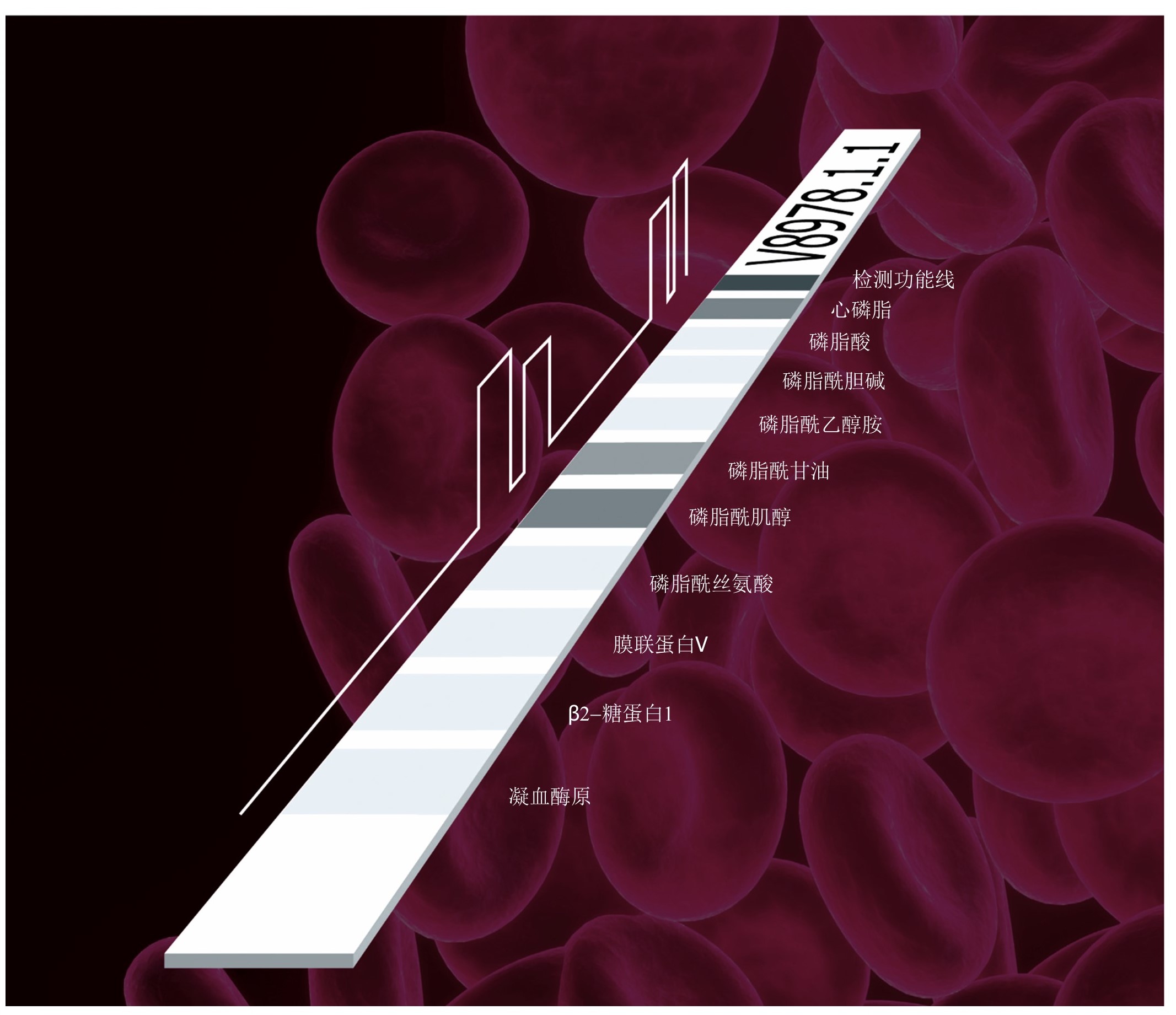 抗磷脂抗体谱（IgG或IgM）10项检测试剂盒（酶联免疫斑点法）